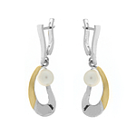 Silver and Gold Earrings