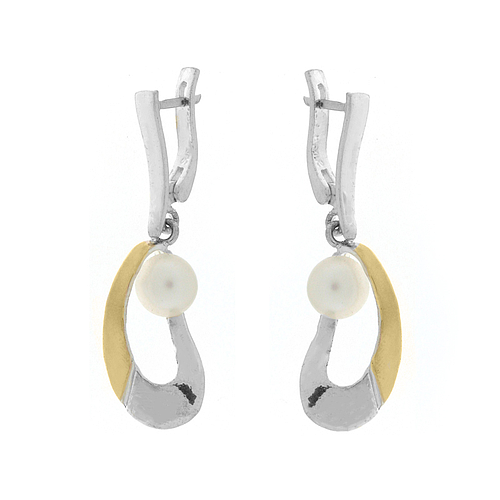 Silver and Gold Earrings