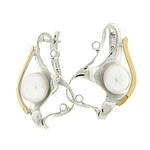 Silver and Gold Earrings