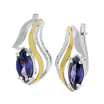 Silver and Gold Earrings