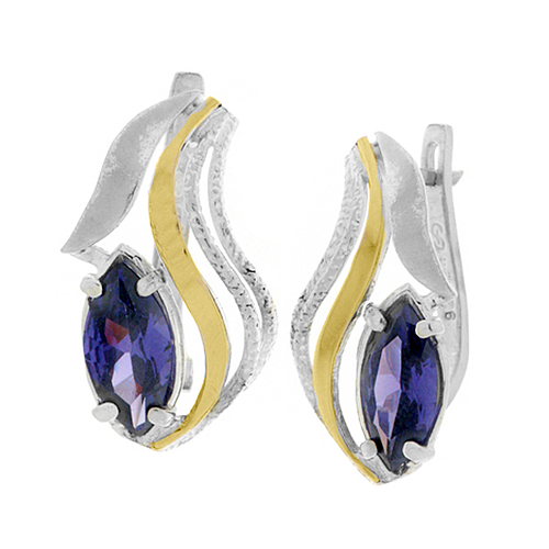 Silver and Gold Earrings