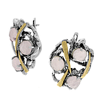 Silver and Gold Earrings