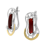 Silver and Gold Earrings
