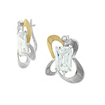 Silver and Gold Earrings