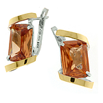 Silver and Gold Earrings