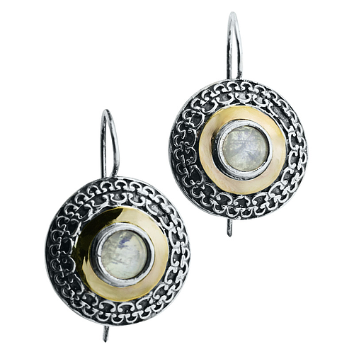 Silver and Gold Earrings