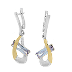 Silver and Gold Earrings