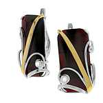 Silver and Gold Earrings