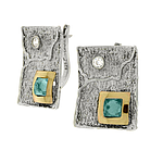 Silver and Gold Earrings