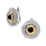 Silver and Gold Earrings