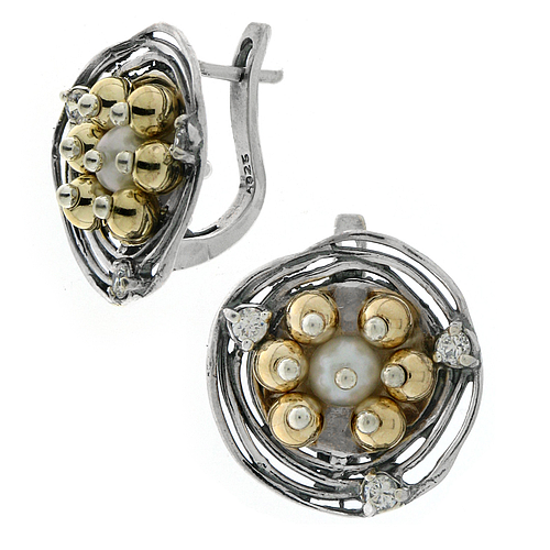 Silver and Gold Earrings