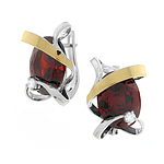 Silver and Gold Earrings