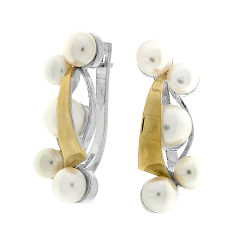 Silver and Gold Earrings