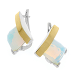 Silver and Gold Earrings